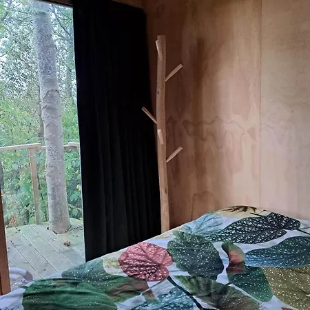 Luxury tent De Koekoek *